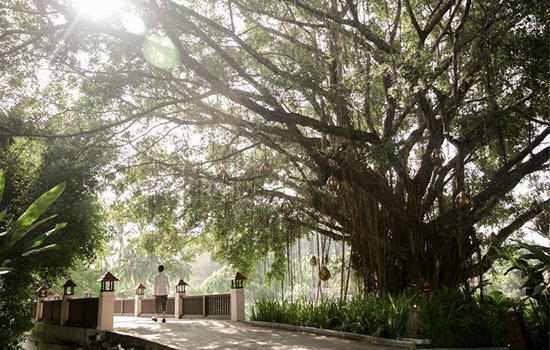 BANYAN TREE TAPS INTO PENT-UP DEMAND FOR TRAVEL IN VIETNAM